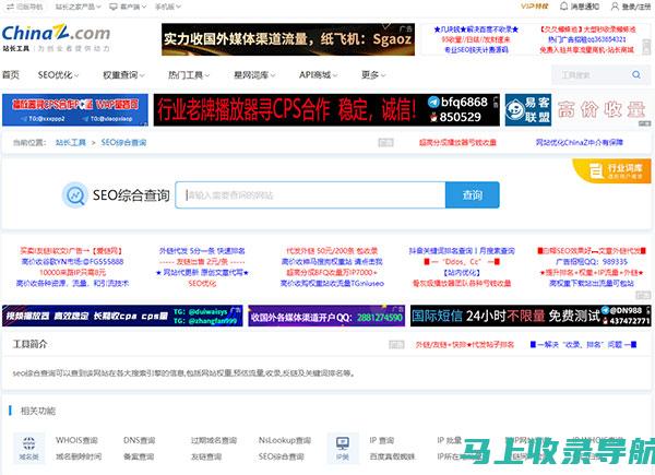 站长网站查询服务升级，助力站长解决日常运营难题